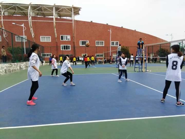QQ图片20170401094525.jpg
